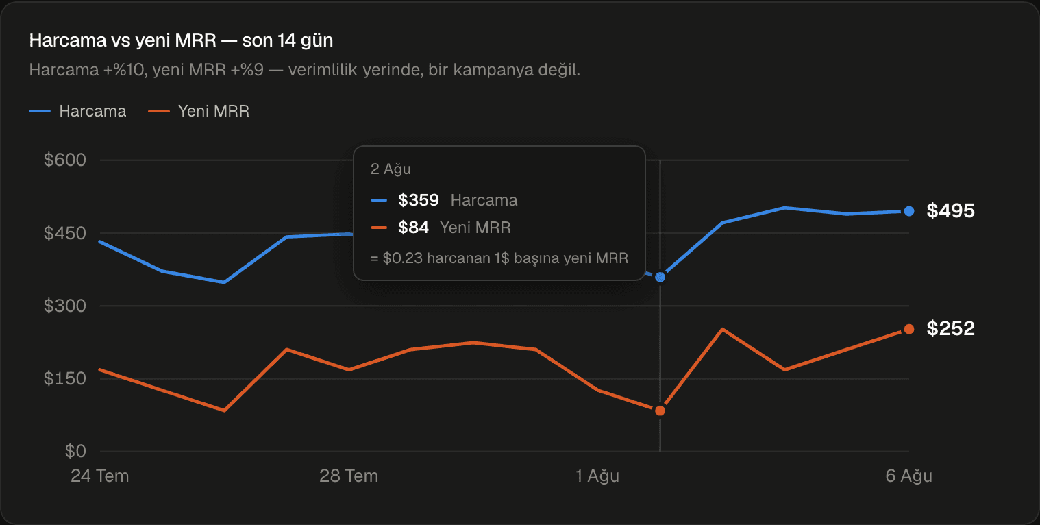 Tüm kaynakların, tek beyin